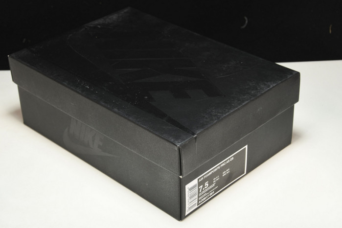 nike air foamposite pro ao0817-001