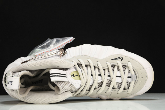 nike air foamposite pro ao0817-001