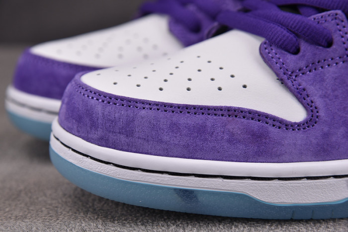 Hayley Wilson x Nike SB Dunk Low HJ0513-500