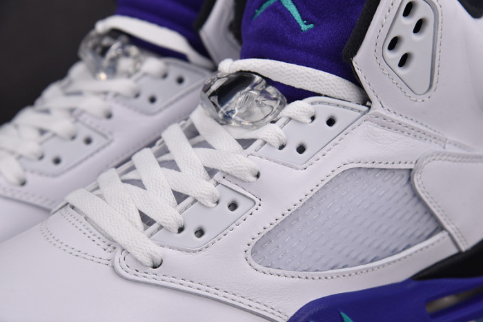 JORDAN 5 RETRO GRAPE 2025 HQ7978-100