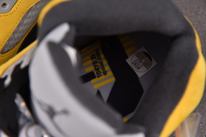 Air Jordan 5 “Tokyo” IO3372-700