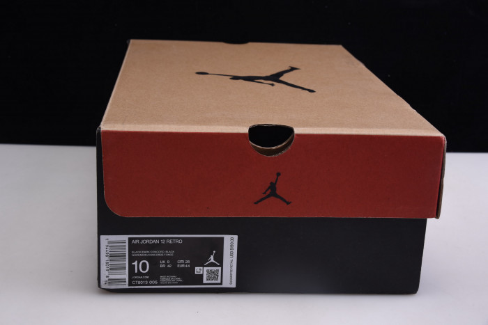 air jordan 12 “dark concord” ct8013-005